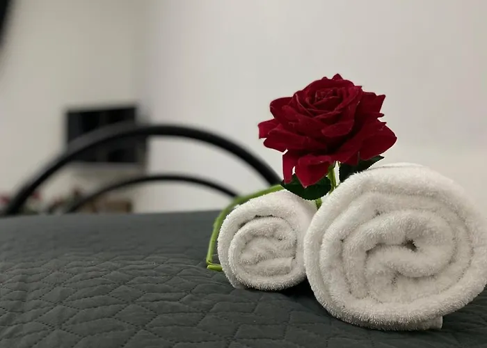 Red Roses Domus Appartamento