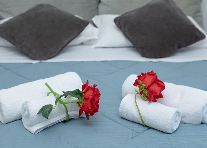 Red Roses Domus Roma