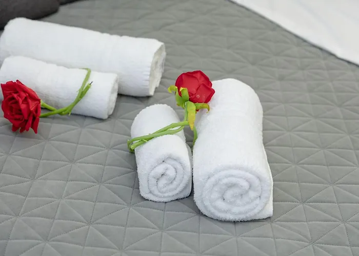 Appartamento Red Roses Domus Roma